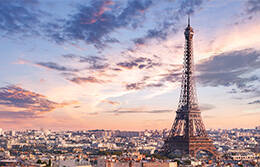 Paris Meet & Greet Service