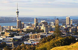 Auckland Meet & Greet Service