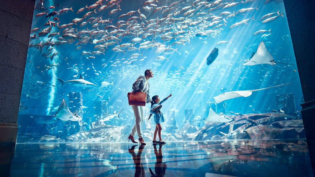 mother and daughter walking across aquarium