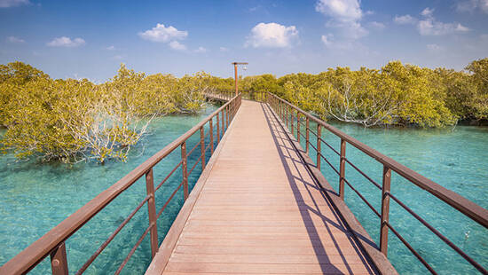 A wooden bridge at Al Jubail Mangrove Walk