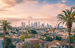 Los Angeles Meet & Greet Service