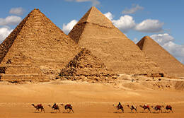 Cairo Meet & Greet Service