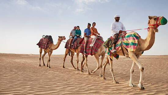 A group of people camel riding in the desert