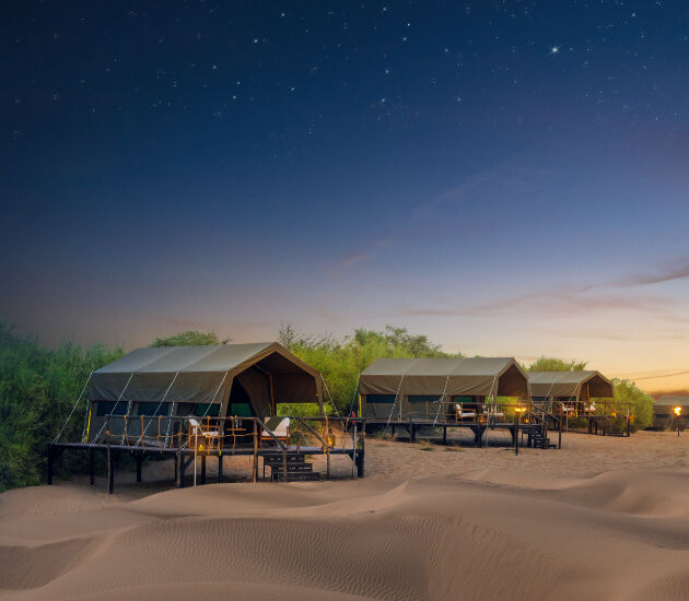 Desert Nights to City Lights