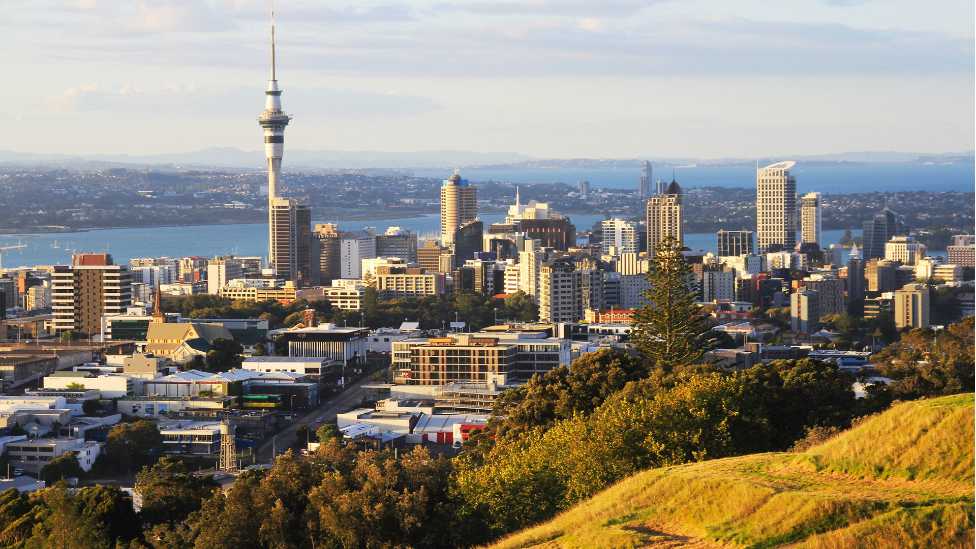 Auckland Meet and Greet Service, , hi-res