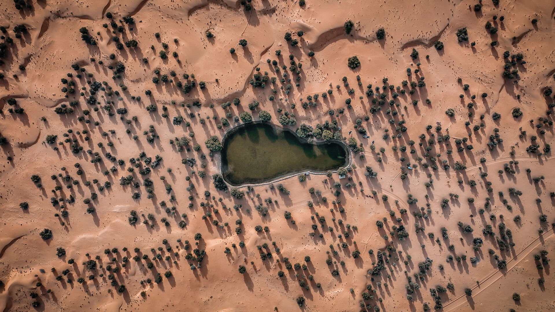 Camel Ride, , hi-res