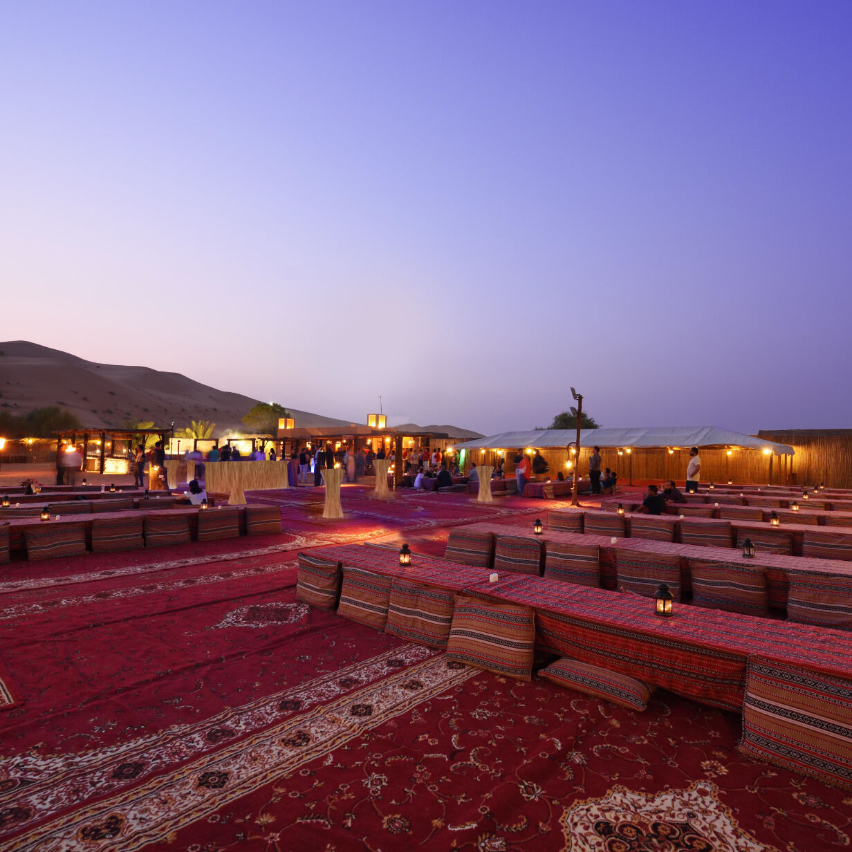 Desert Dune Buggies & Evening Safari Combo, , hi-res