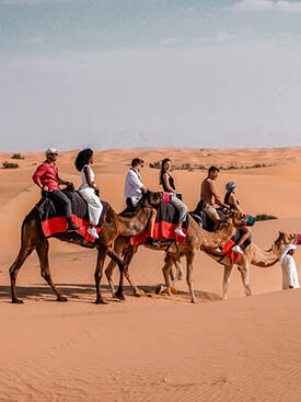 Camel Ride in Dubai