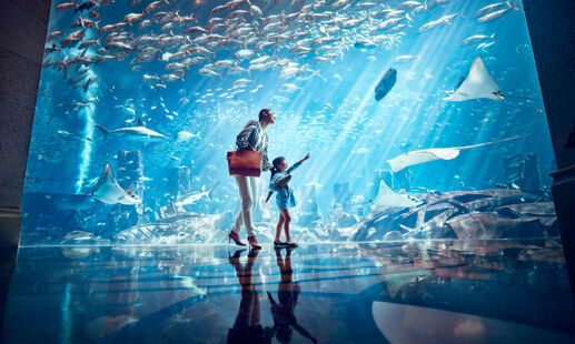Atlantis Lost Chambers Aquarium