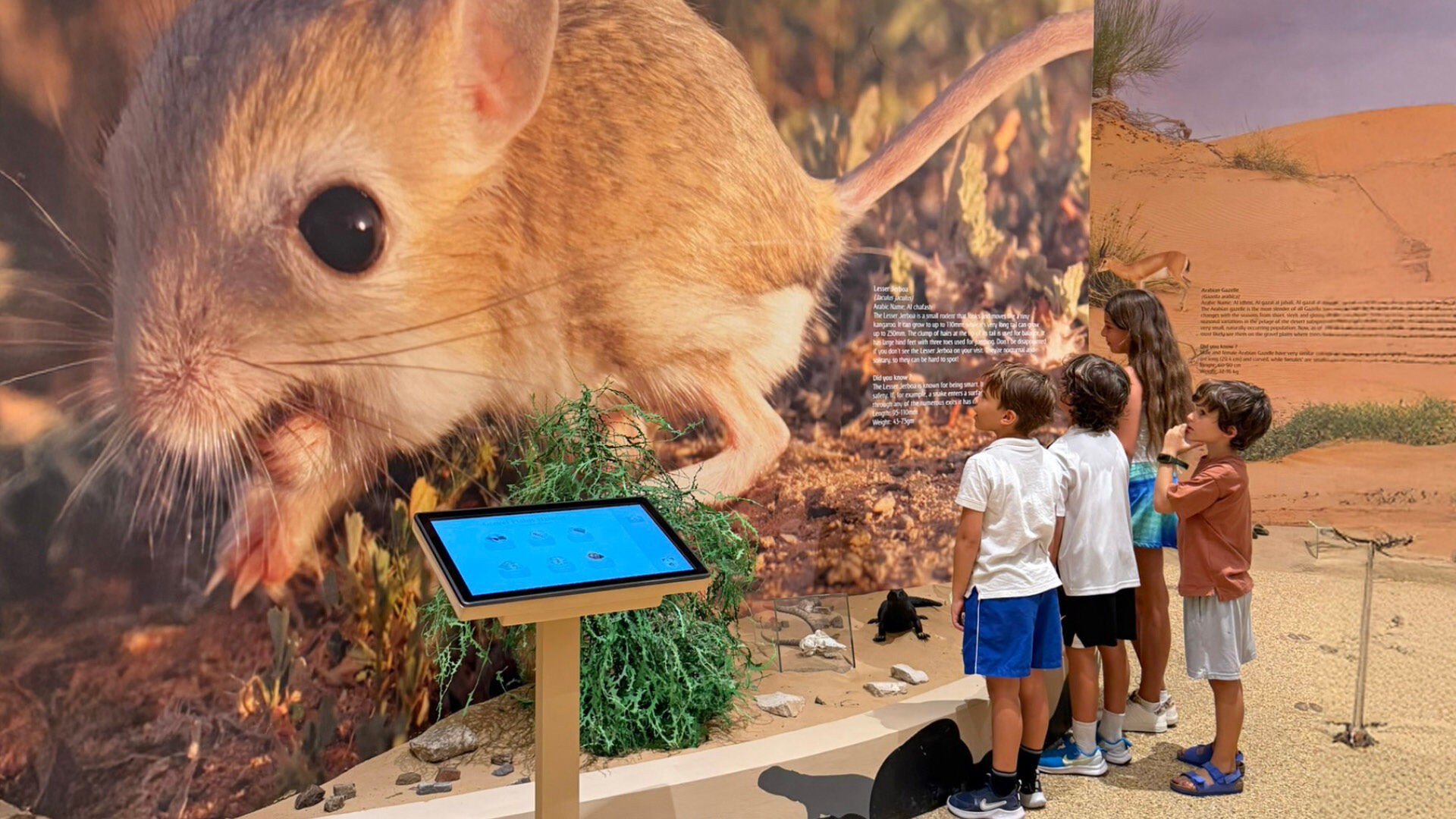 Morning Wildlife Safari, , hi-res