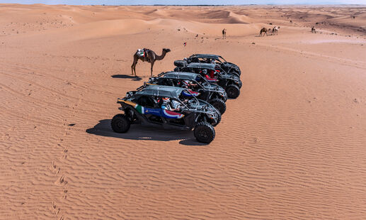 Desert Dune Buggies & Evening Safari Combo