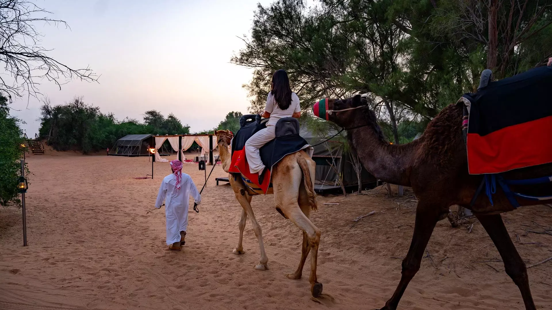 Overnight Desert Safari & Hot Air Balloon Combo