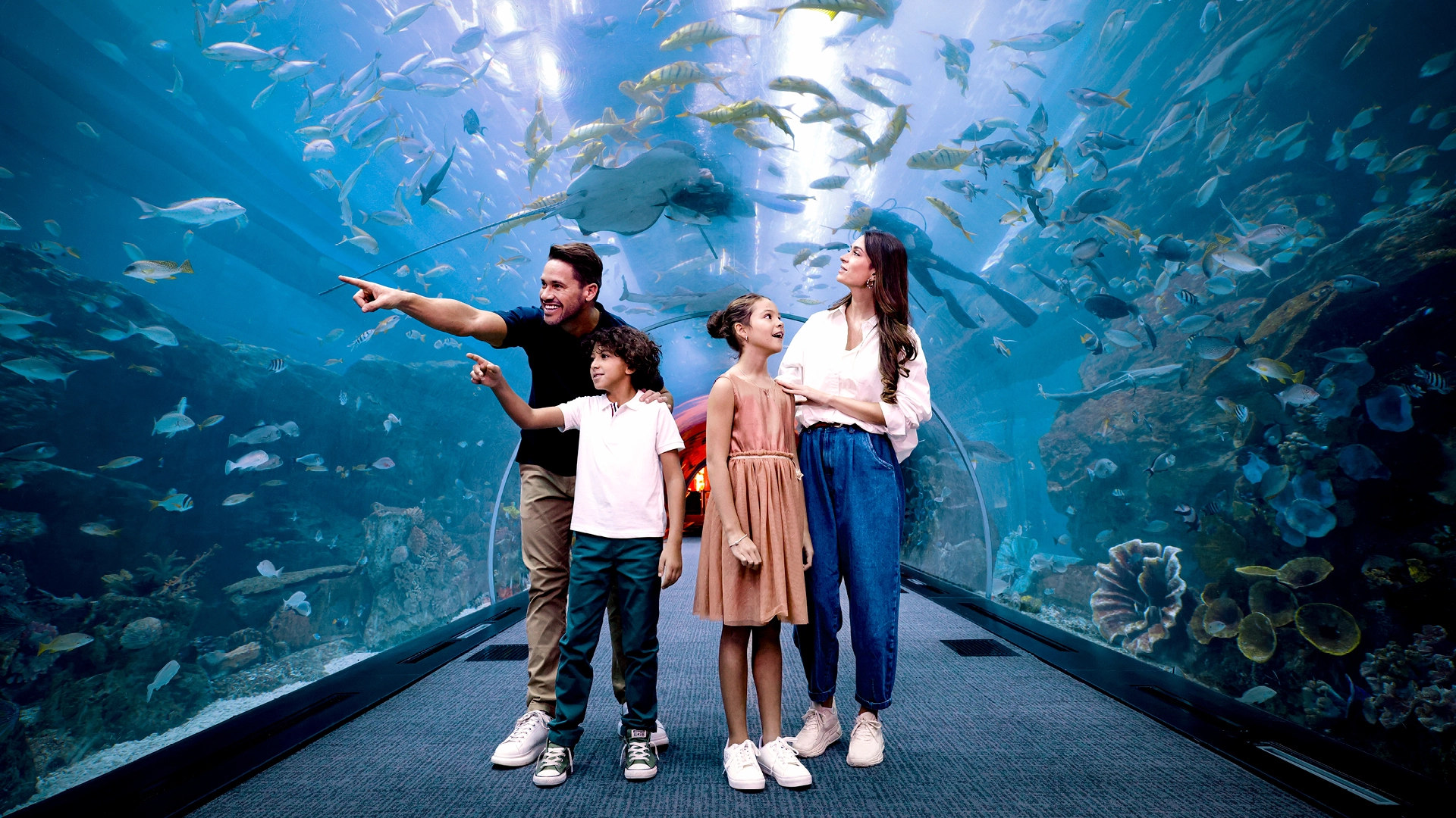 Dubai Aquarium & Underwater Zoo, , large