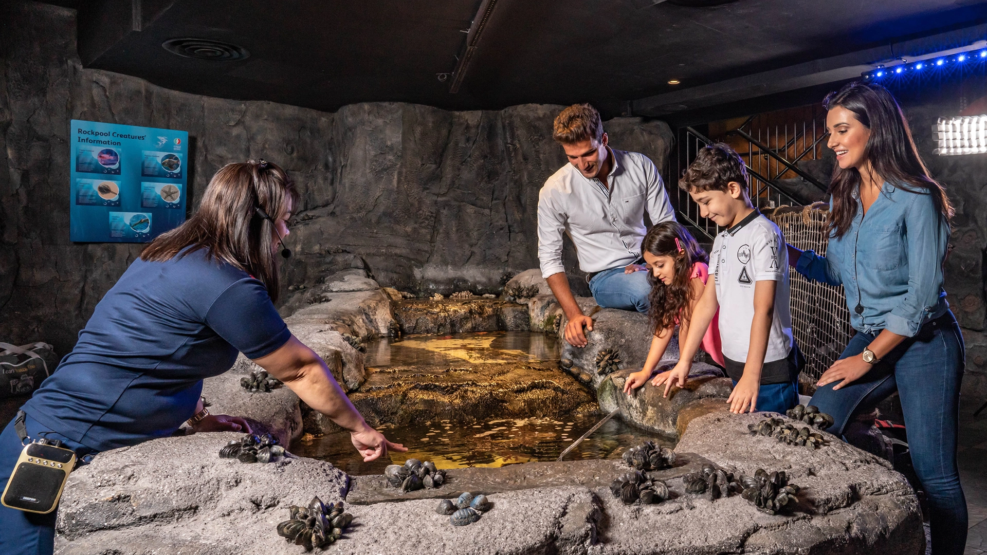 Dubai Aquarium & Underwater Zoo, , large