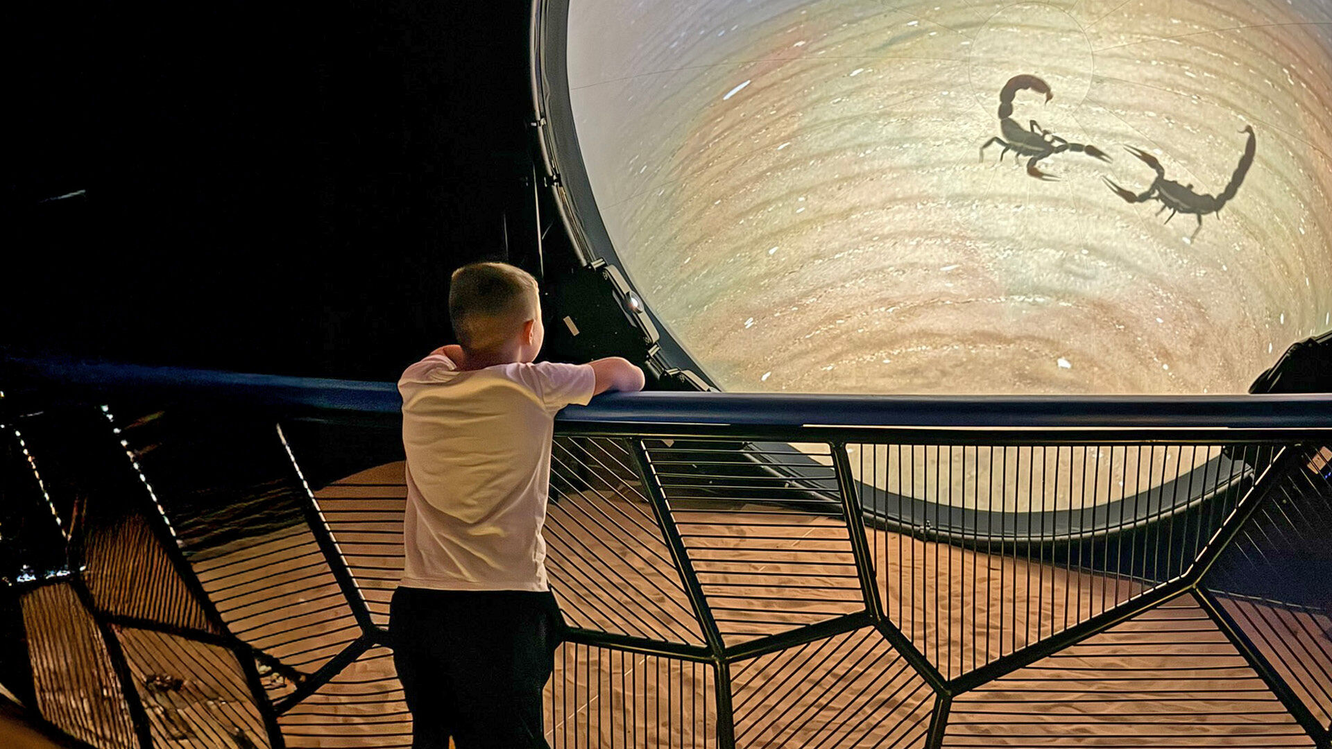 Three-Day Camping Adventure, , hi-res