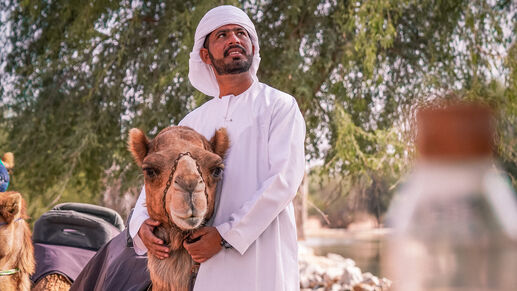 Camel Ride in Dubai, , hi-res