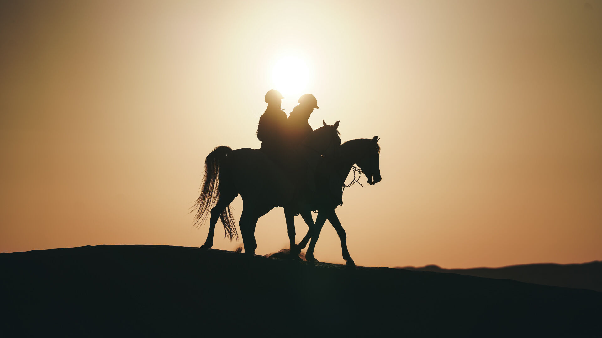 Horseback Ride - Shared Vehicle - Morning Run - Without Breakfast, , hi-res