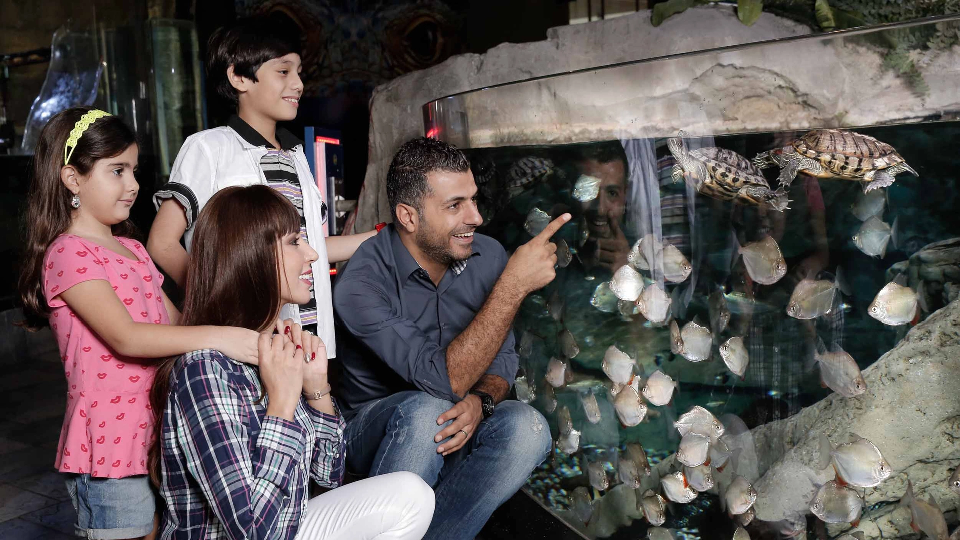 Dubai Aquarium & Underwater Zoo, , large