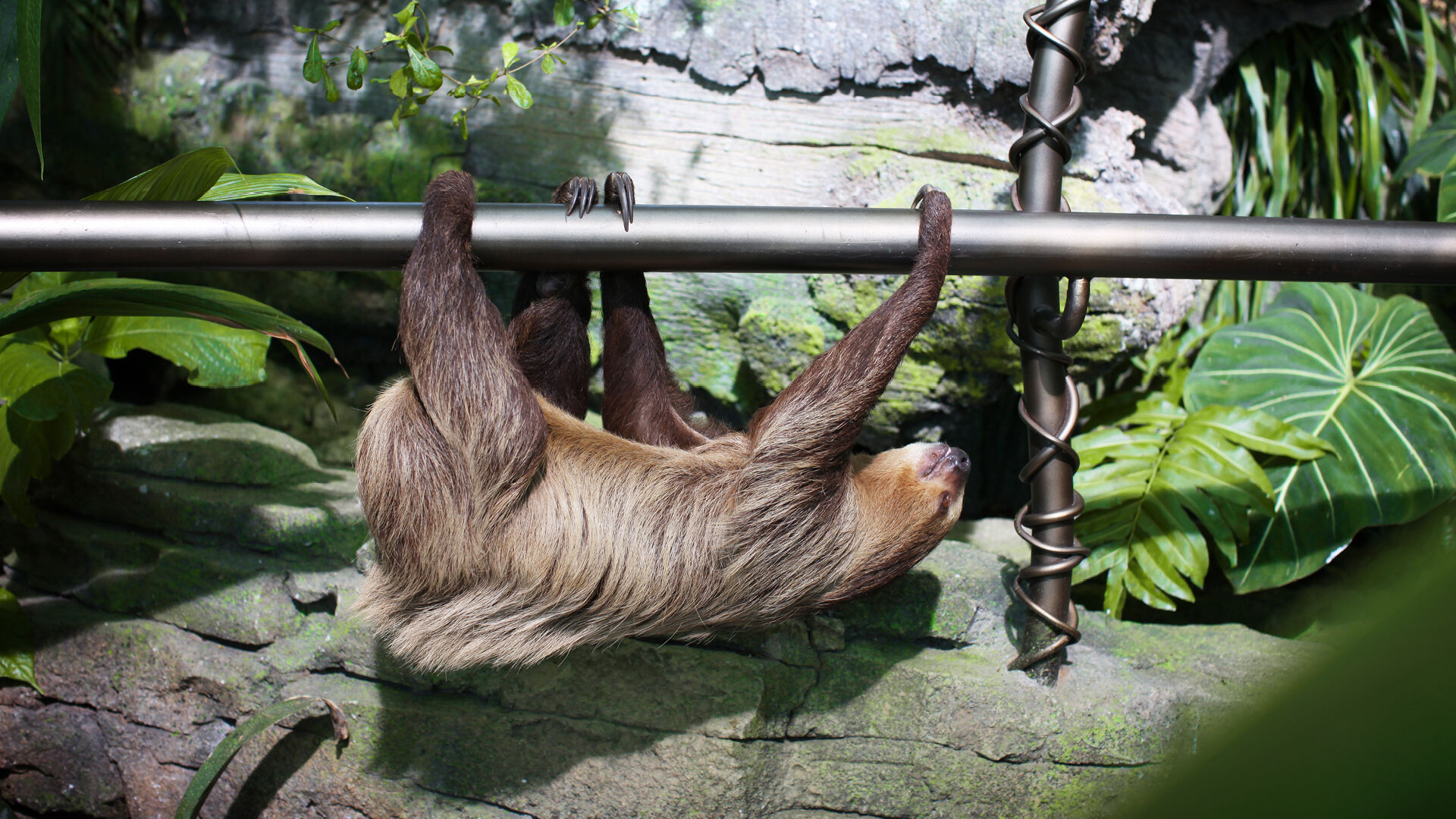 The Green Planet Dubai Tickets, Offers, Timings & More, , hi-res