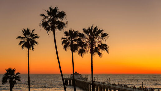 Los Angeles Meet and Greet Service, , hi-res