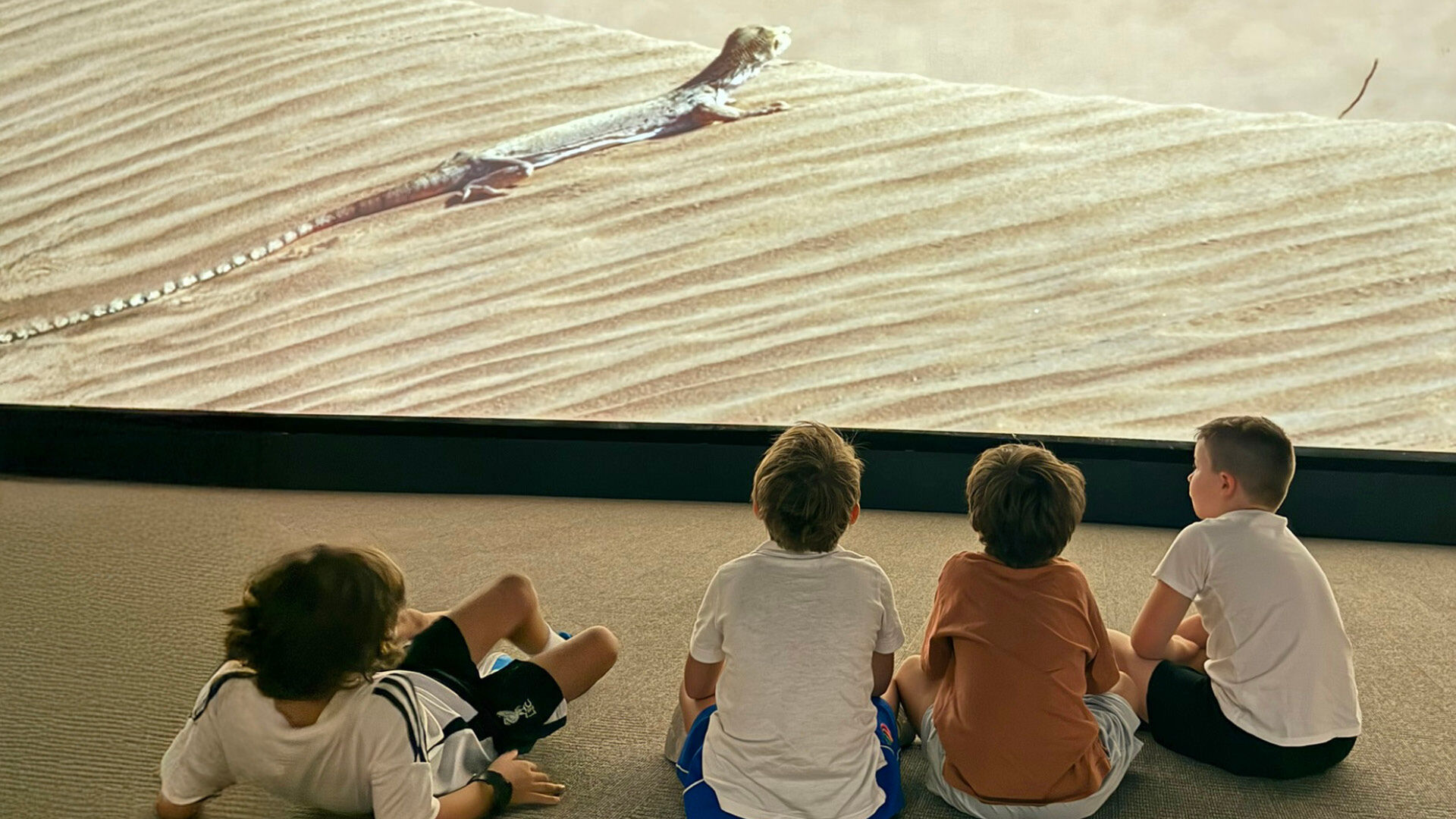 Three-Day Camping Adventure, , hi-res