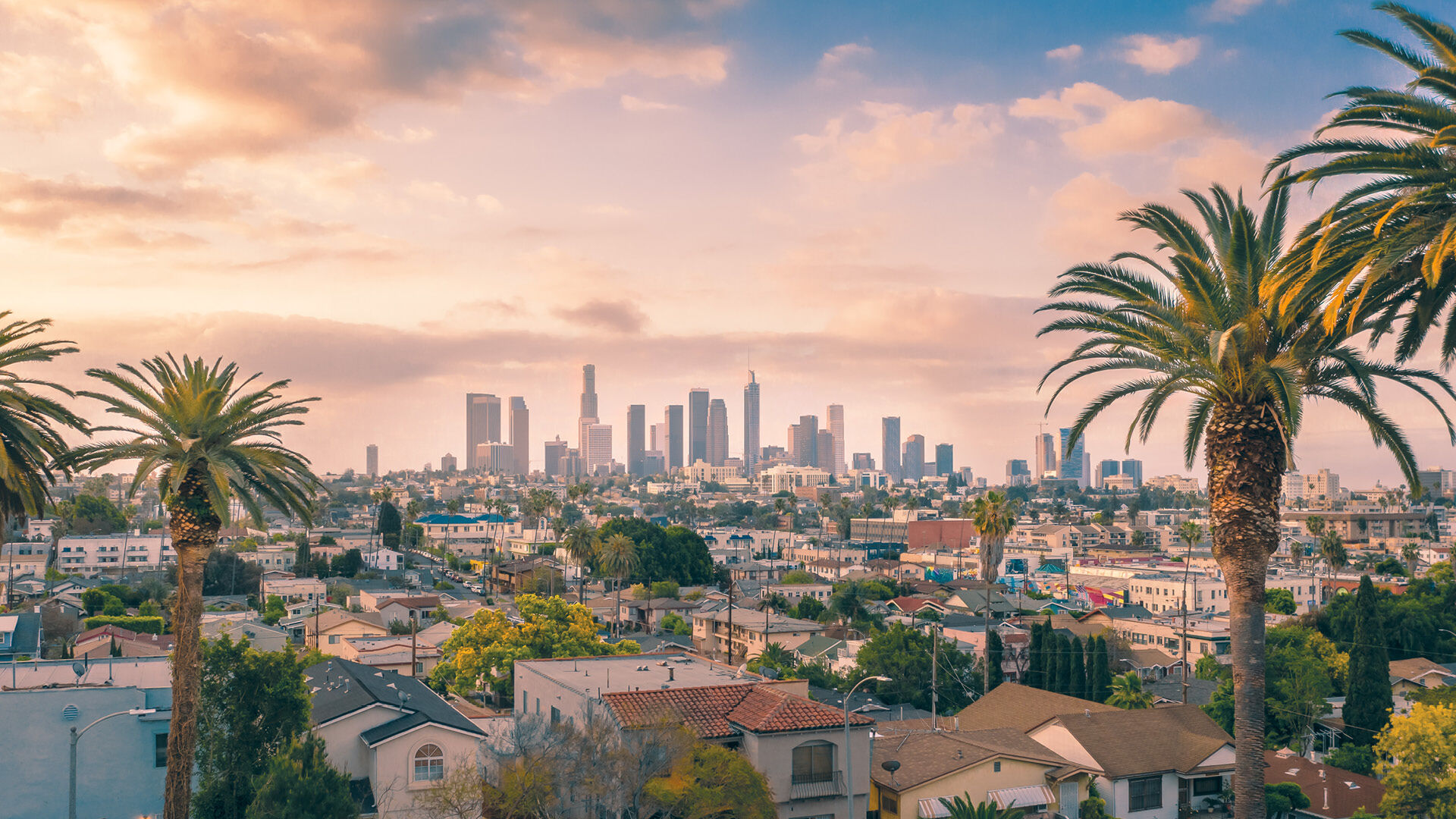 Los Angeles Meet and Greet Service, , hi-res