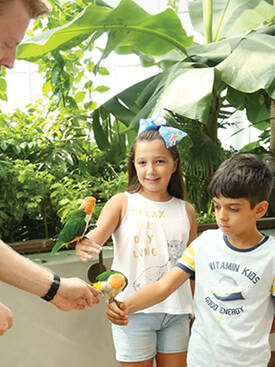 The Green Planet Dubai Tickets, Offers, Timings & More