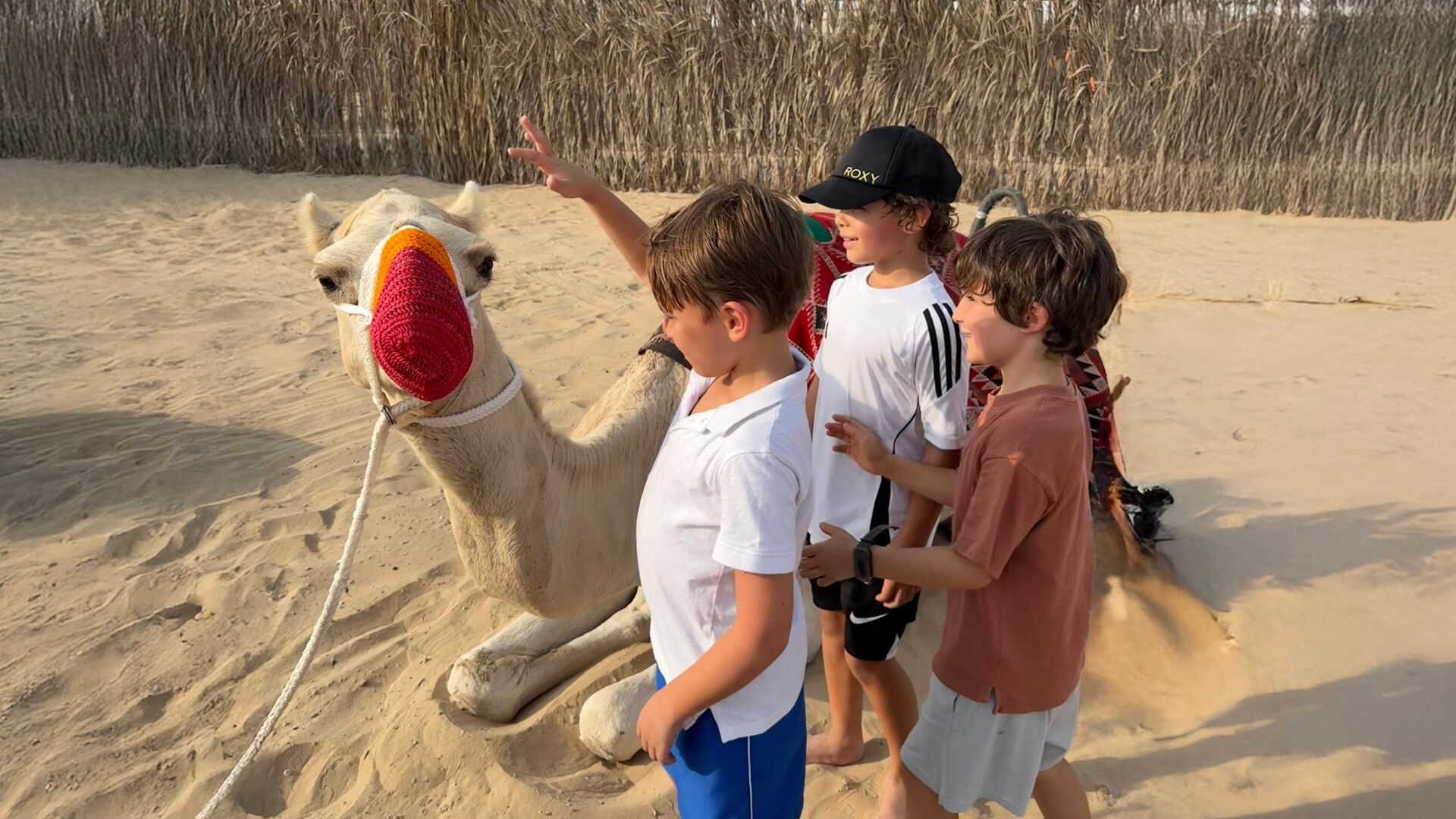 Overnight Wildlife Adventure, , hi-res