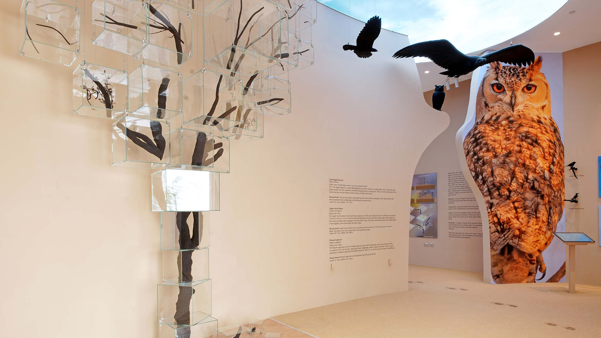 Interior view of the birds information section at Dubai Desert Conservation Reserve