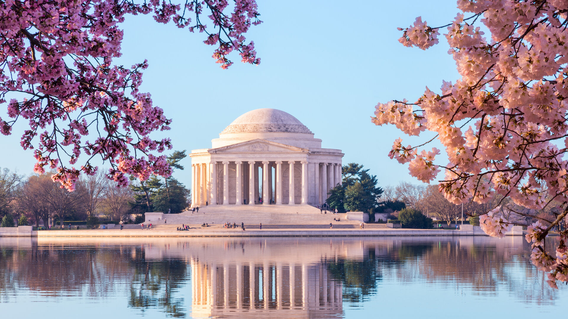 Dulles International Meet and Greet Service, , hi-res