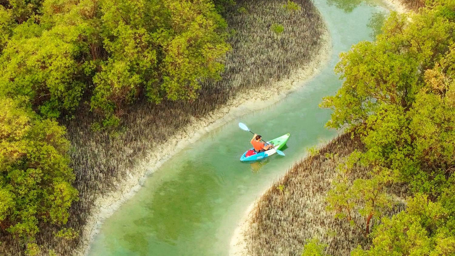 Guided Kayak Tour at Reem Central Park, , large