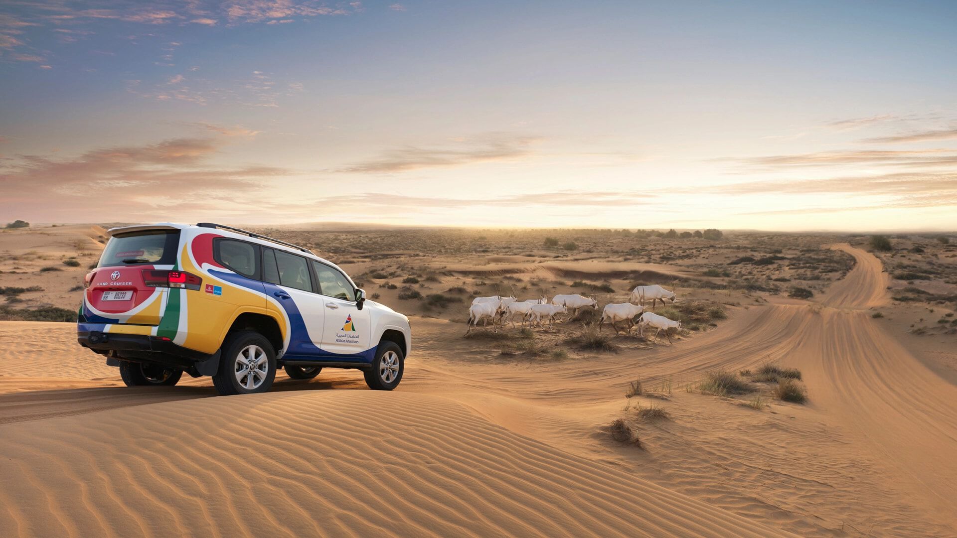 Exclusive Desert Experience