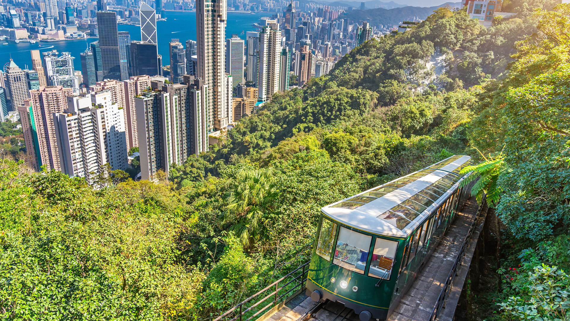 Hong Kong Meet and Greet Service, , hi-res