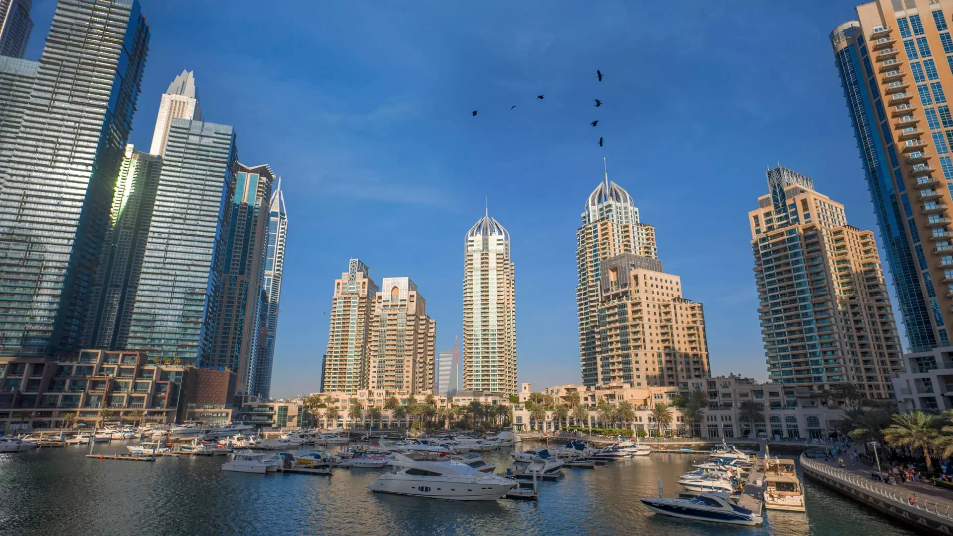 Dubai Full Day Tour