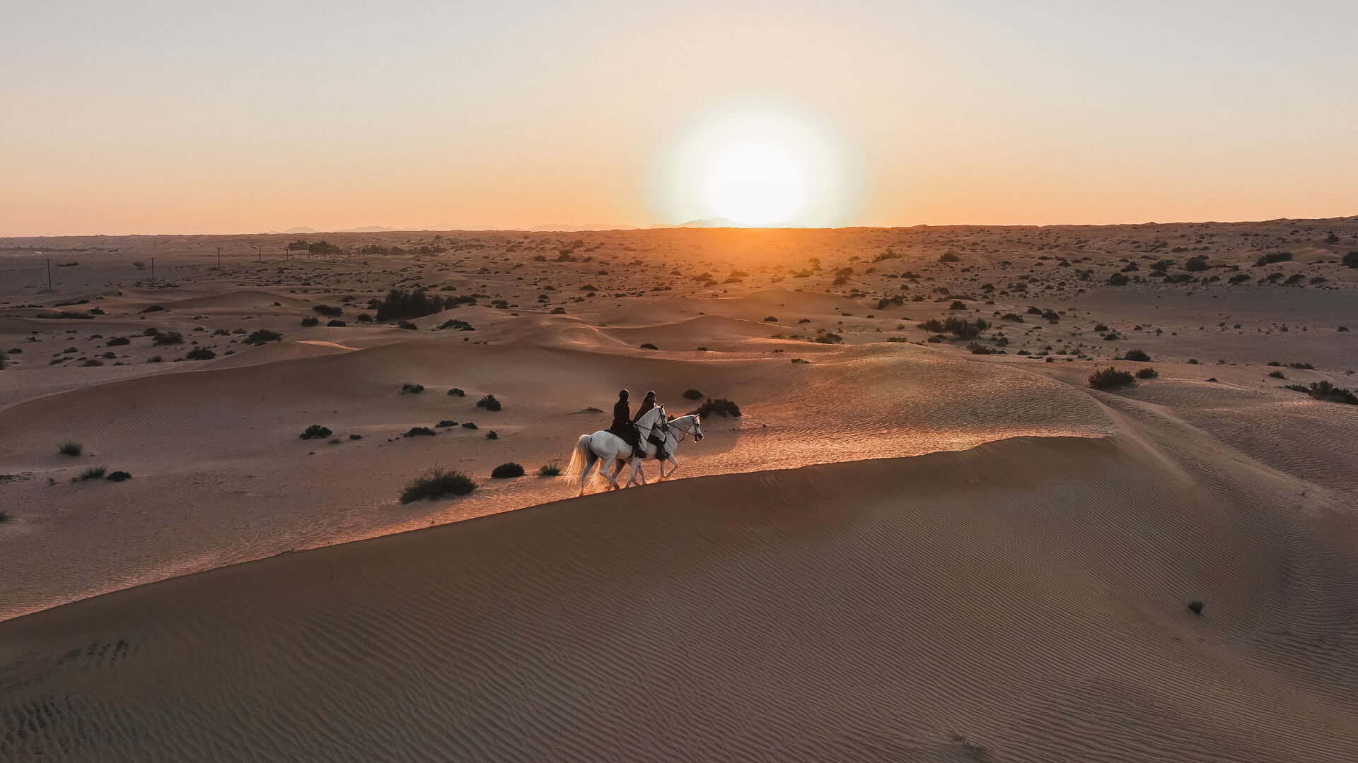 Horseback Ride - Shared Vehicle - Morning Run - Without Breakfast, , hi-res