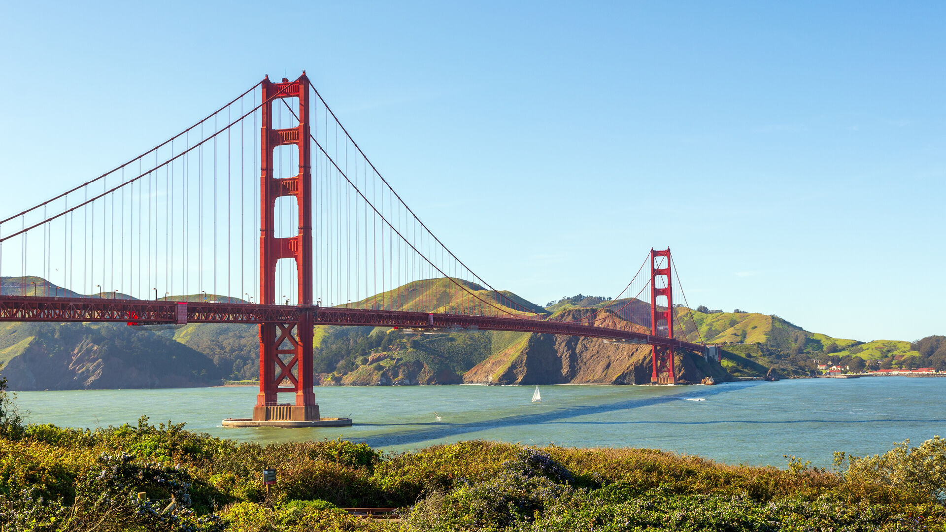 San Francisco Meet and Greet Service, , hi-res