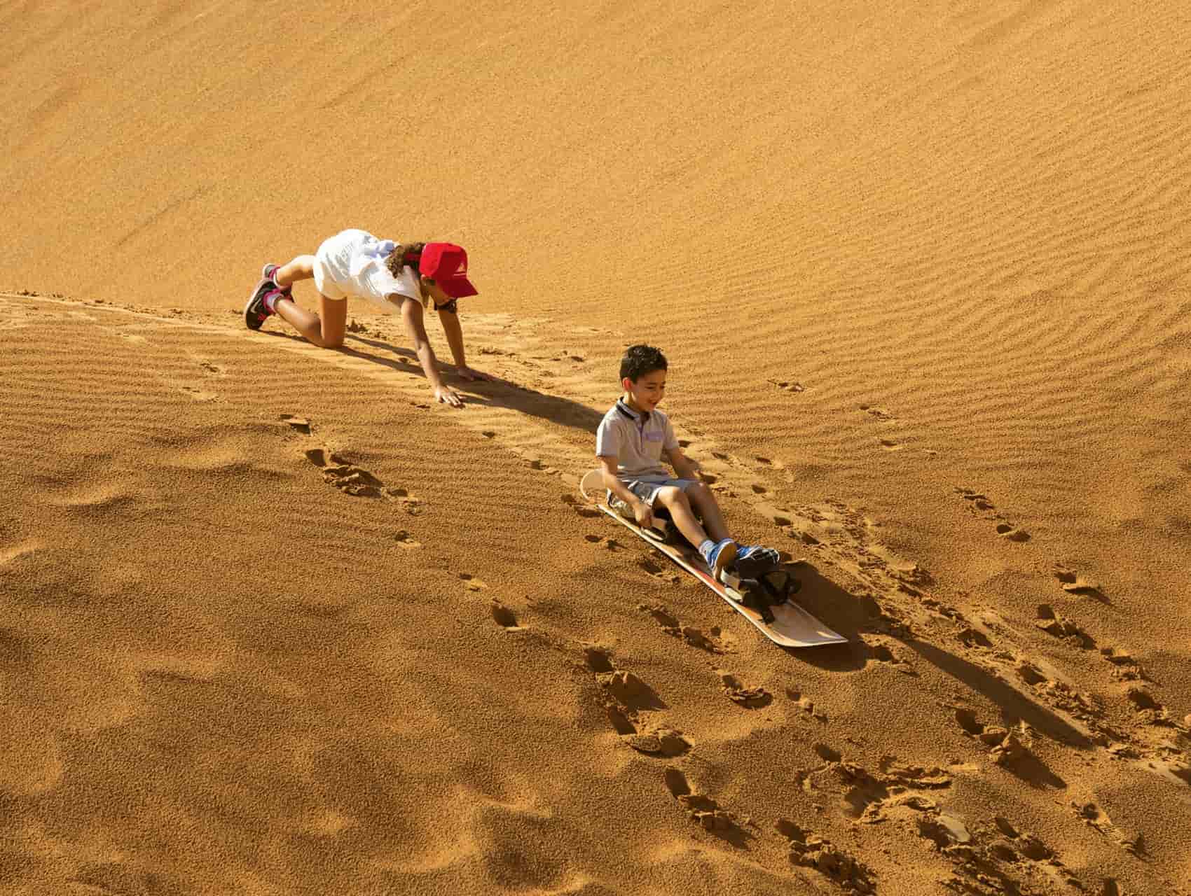 Gazelles are one of the many species that call the DDCR home Enjoy sandboarding fun for all on the Morning Desert Adventure