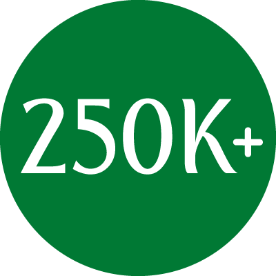 250k+ icon
