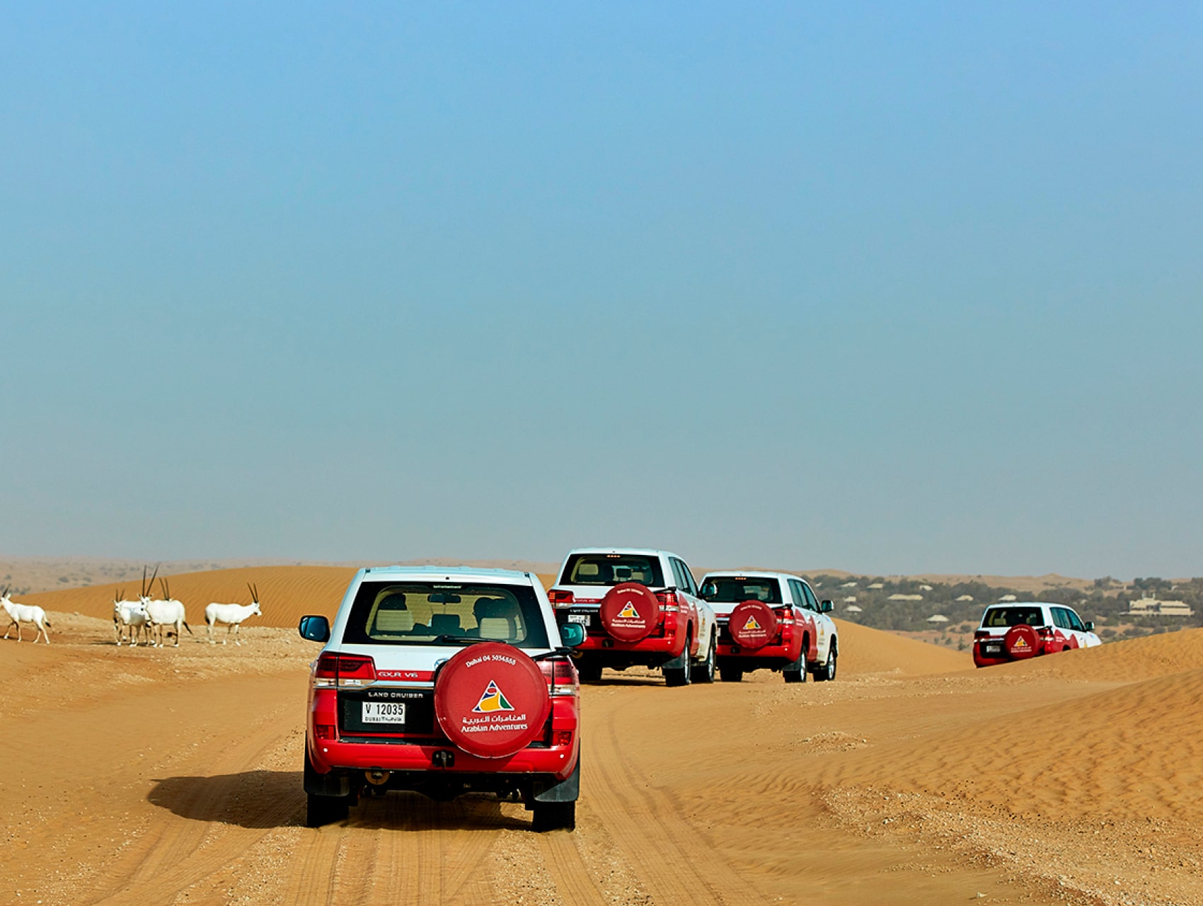 The DDCR covers over 200 square kilometres of desert wilderness The DDCR covers over 200 square kilometres of desert wilderness