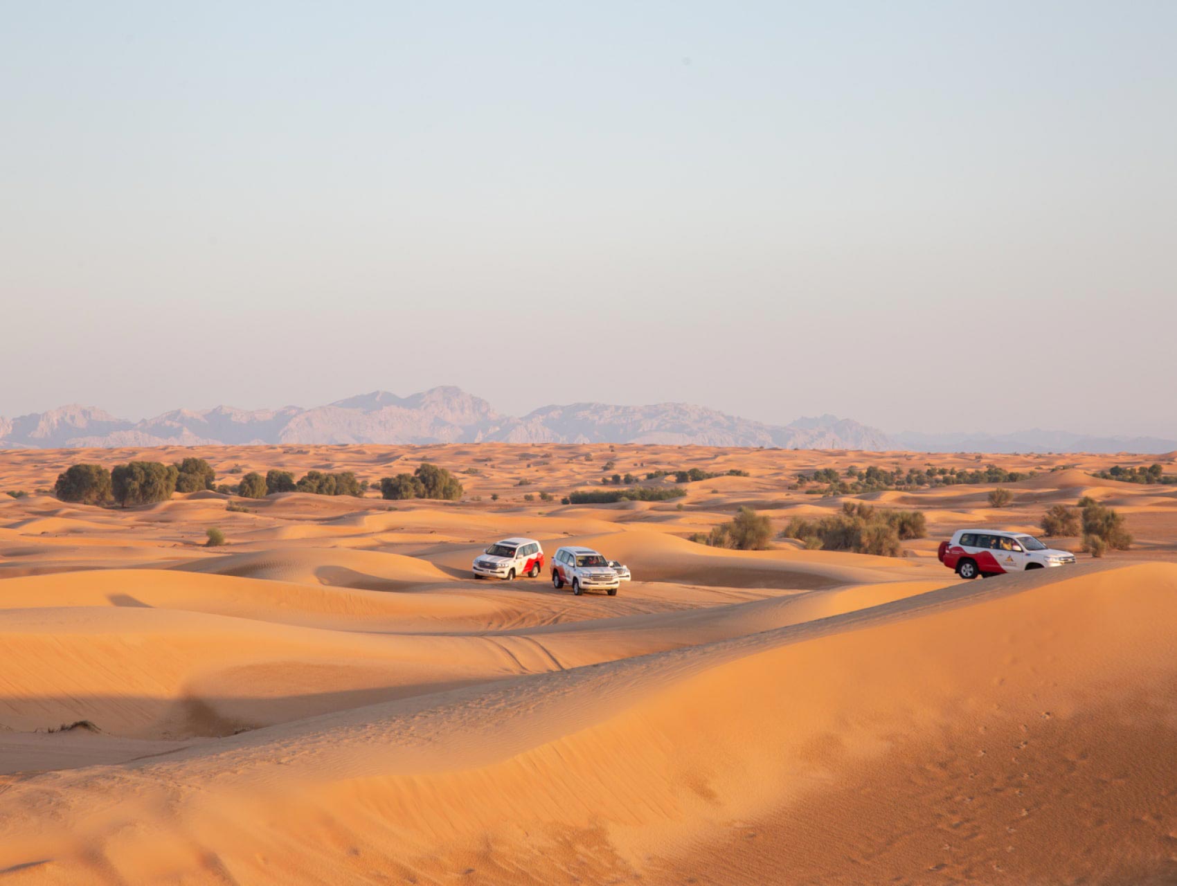 Experience an exciting dune drive in the Dubai desert red dunes Experience an exciting dune drive in the Dubai desert red dunes