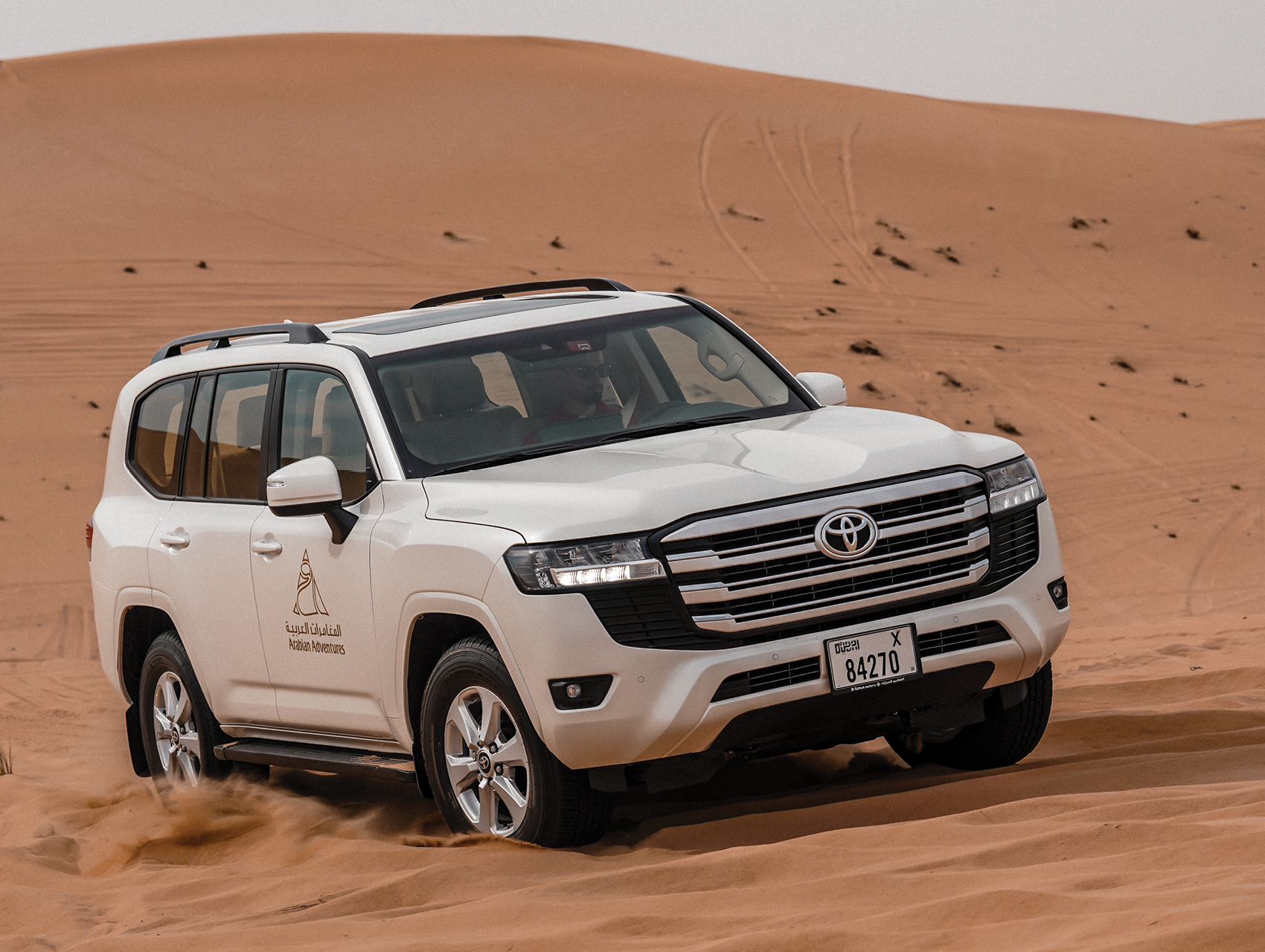 Virtual Dubai city tours Dubai Desert Conservation Reserve