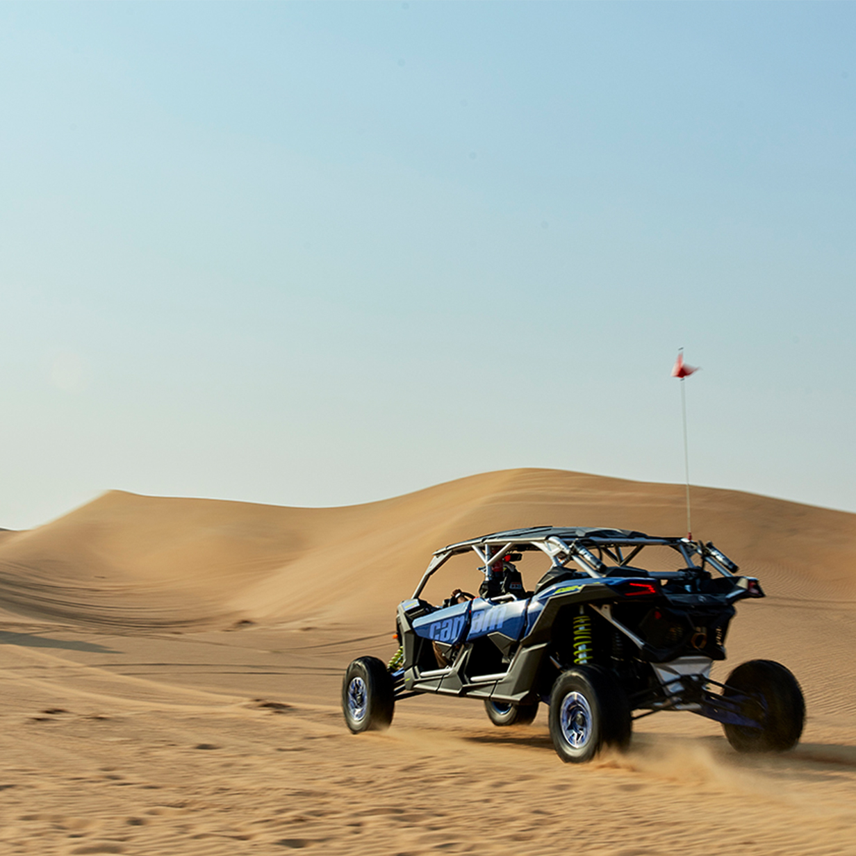 desert buggy xle