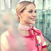 Sydney Meet and Greet Services, , small